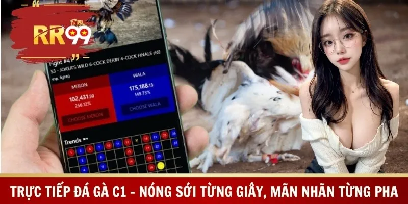 Trực Tiếp Đá Gà C1 – Nóng Sới Từng Giây, Mãn Nhãn Từng Pha